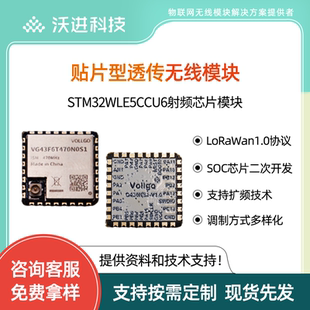 LoRaWAN节点模块STM32WLE5CCU6低功耗远距离SX1262 RF模块