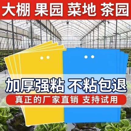 粘虫板黄板双面大棚诱虫板果园果树防虫贴纸蓟马蓝板小黑飞果蝇