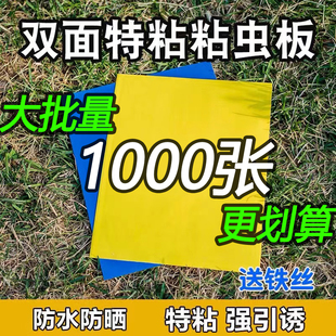 粘虫板双面黄板蓝板农用家用粘虫纸家用大棚小黑飞蓟马防水送扎丝
