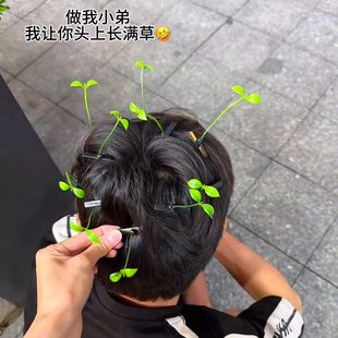 小草发夹创意慢羊羊同款智慧草发卡学生趣味抽象小玩意立体发饰女