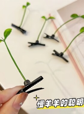 小草发夹可爱头上长草豆芽卖萌头顶搞怪夹子发卡发饰抖音超火头饰