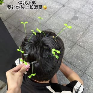 新款好物小草发夹可爱搞怪豆芽小发卡绿色豆苗头饰头上长草夹子儿