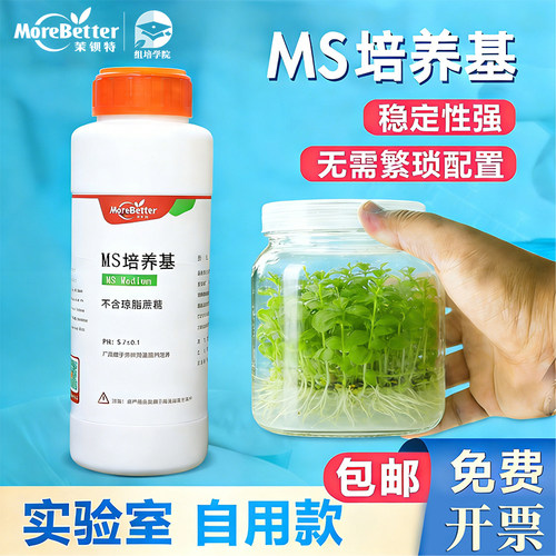 茉钡特生物组培实验ms干粉培养基