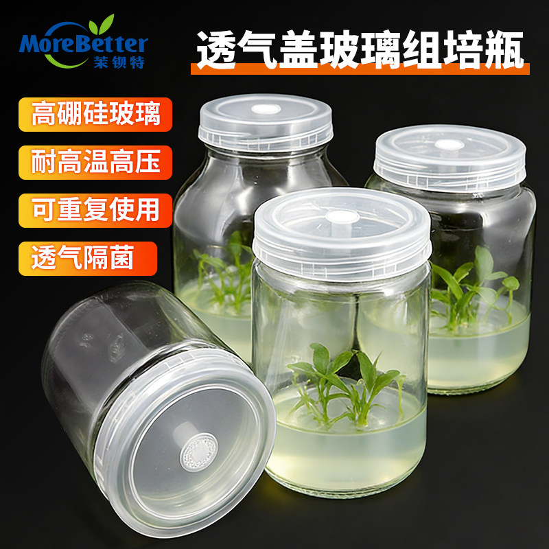 耐高温高压玻璃组培瓶240/350/480/650带透气盖 组织培养瓶菌种瓶,橡塑材料及制品,玻璃容器/玻璃瓶,淘宝优惠券,粉丝福利购,淘宝优惠卷