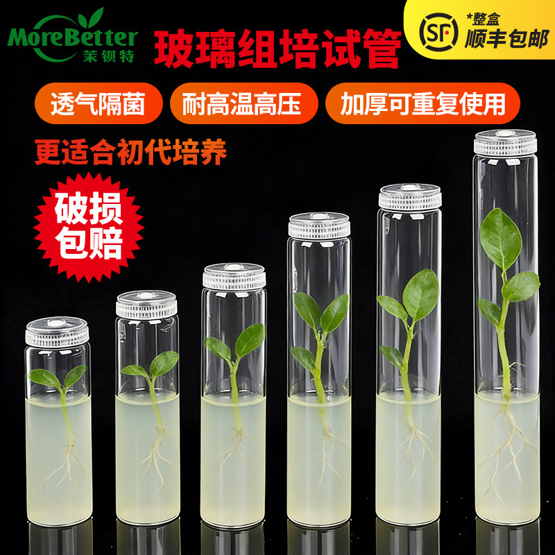 茉钡特玻璃组培试管高硼硅耐高温高压灭菌透气盖初代培养耗材瓶子