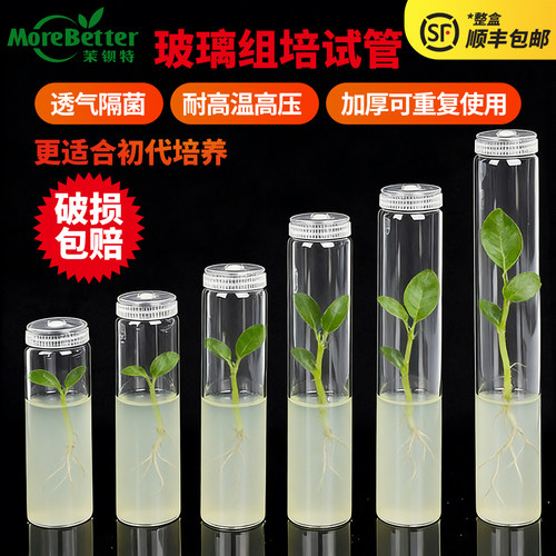茉钡特玻璃组培试管透气盖耐高温