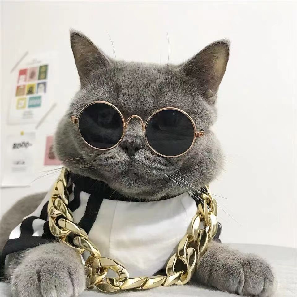 宠物太阳眼镜眼镜猫咪拍照用品狗狗装酷个性中小型搞怪墨镜