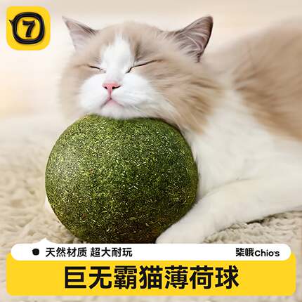 超大10cm猫薄荷球自嗨解闷磨牙猫薄荷玩具薄荷球虫瘿果大球