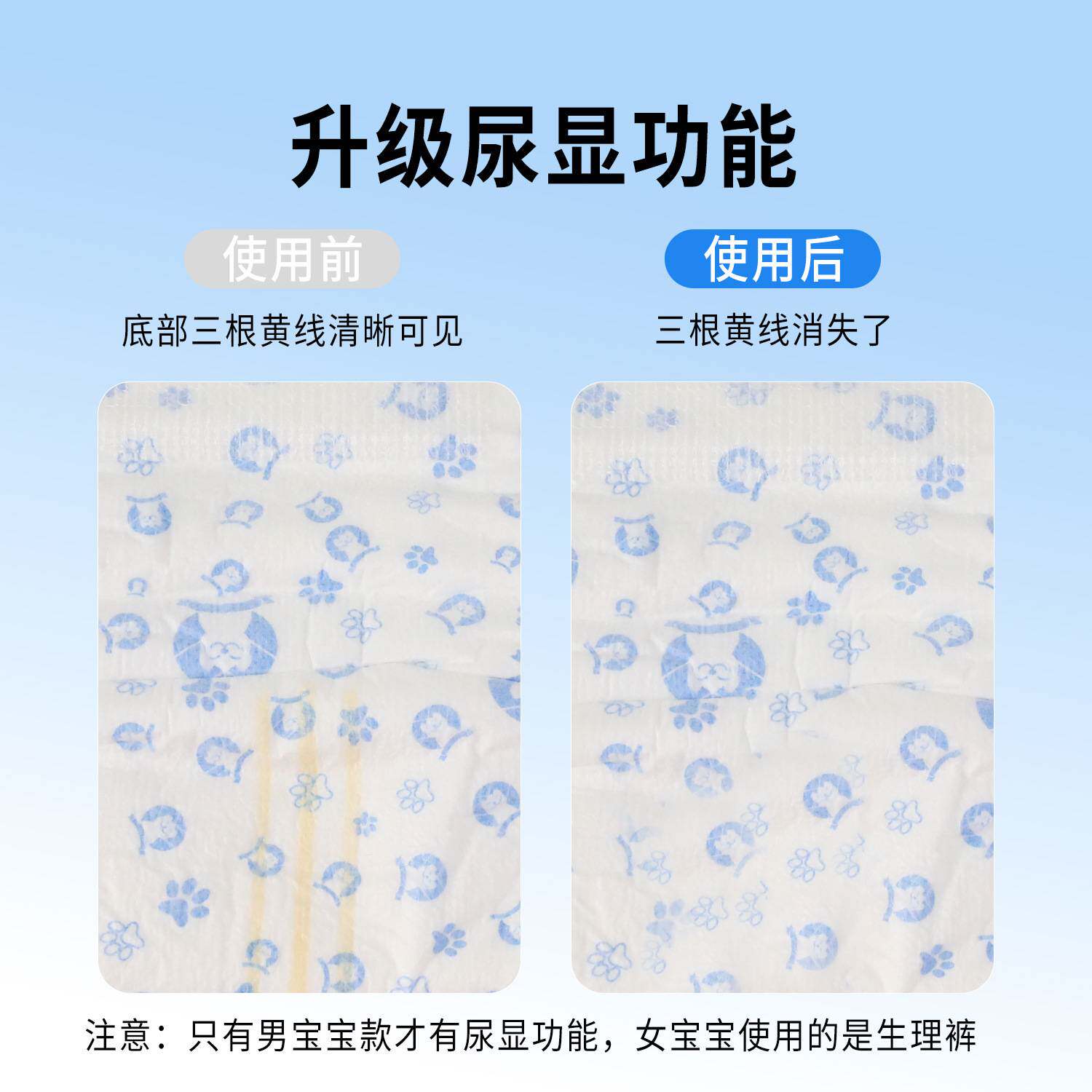 宠物纸尿裤狗狗尿不湿公狗尿垫母狗专用姨妈巾兔子经期生理裤