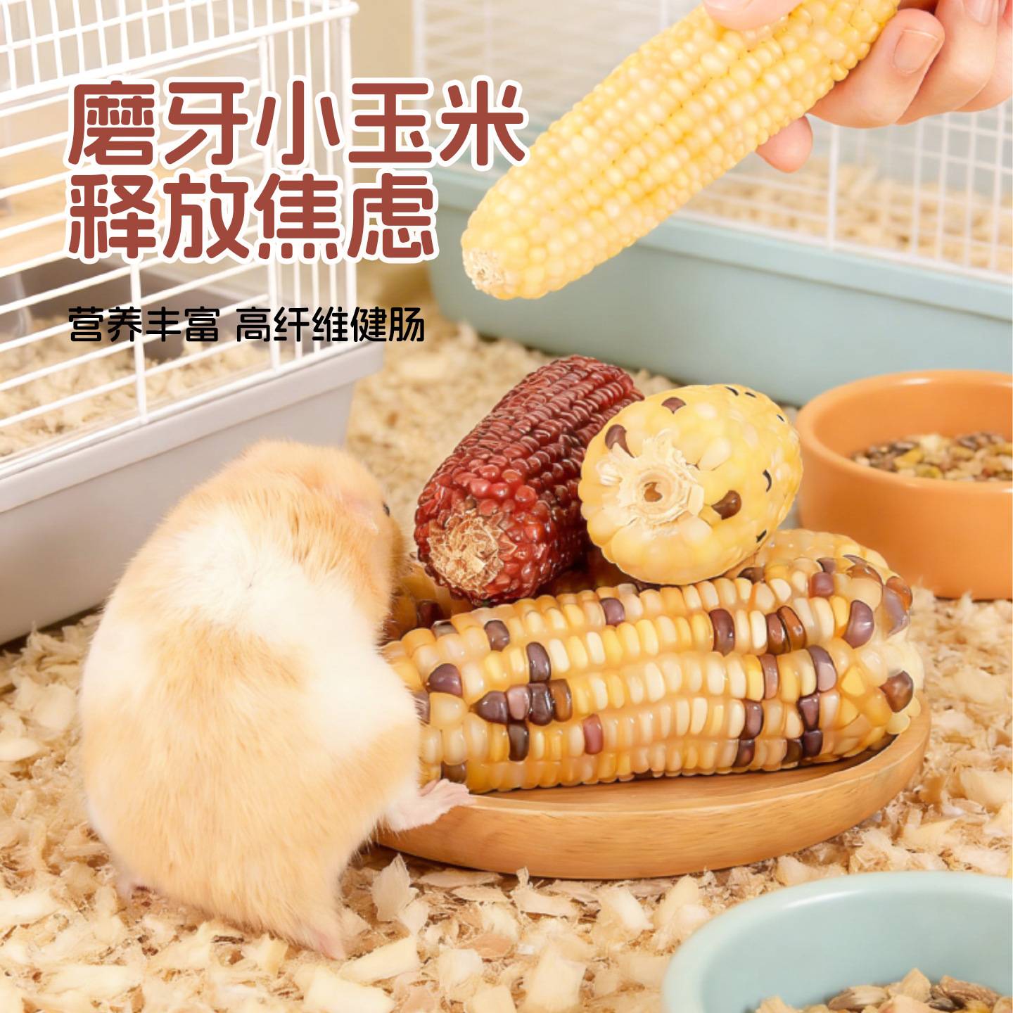仓鼠磨牙玉米零食磨牙小玉米谷穗金丝熊龙猫豚鼠用仓鼠玉米磨牙棒