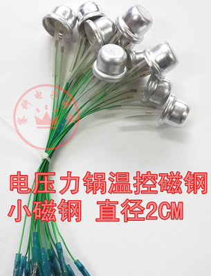 优质电饭煲电压力锅传感器 电压力锅温控磁钢 小磁钢 直径2CM