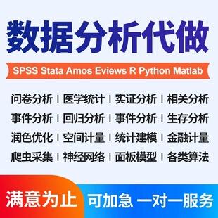 spss数据分析服务stata实证python统计处理amos问卷meta医学R代做