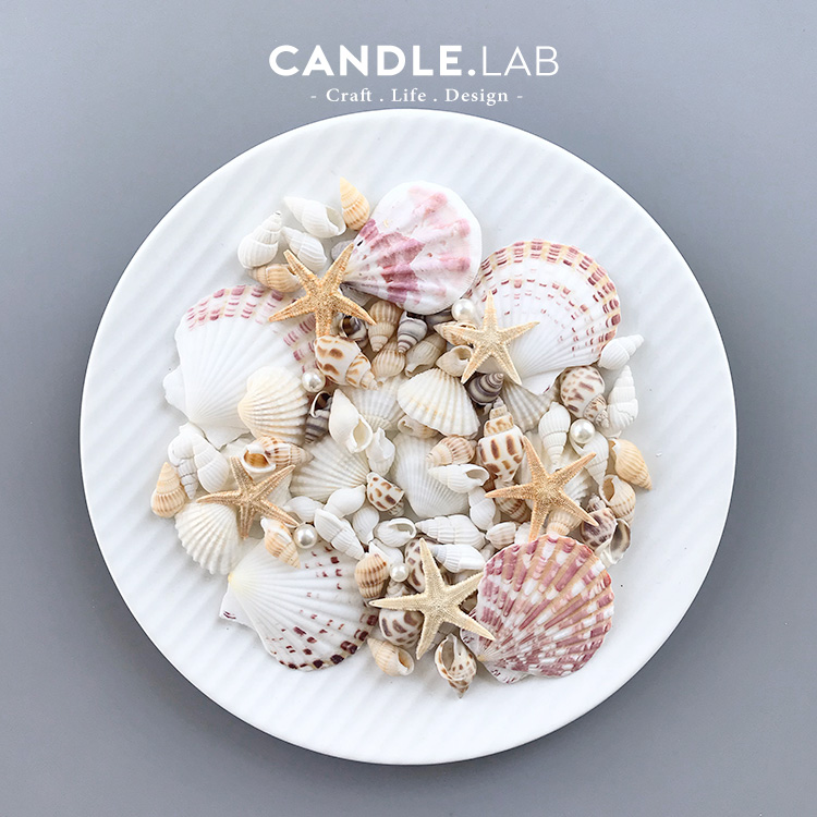 CANDLE.LAB | 海洋系列装饰套装贝壳海螺海星珍珠啫喱蜡装饰用2