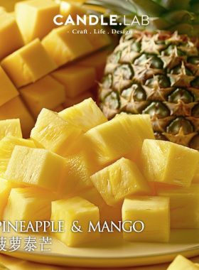 CANDLE.LAB | 菠萝泰芒香料DIY香薰石膏蜡烛扩香石材料香薰精油