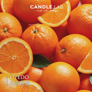 CANDLE.LAB | 东京柑橘香料DIY香薰石膏香薰蜡烛扩香香薰精油07