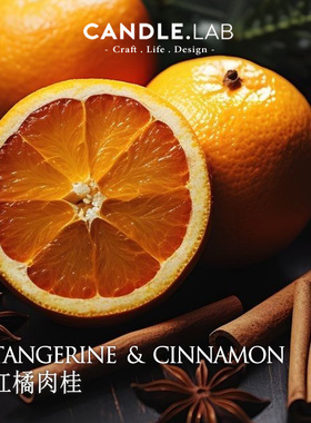 CANDLE.LAB | 红橘肉桂香料DIY香薰石膏蜡烛扩香石材料香薰精油