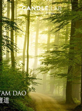 CANDLE.LAB | 檀道香料DIY香薰石膏香薰蜡烛扩香香薰精油M3