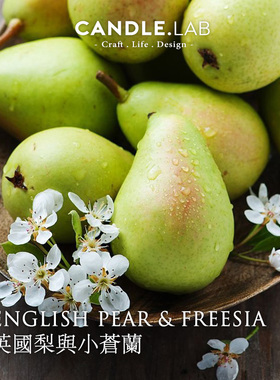 CANDLE.LAB | 英国梨与小苍兰香料DIY香薰石膏蜡烛扩香香薰精油24