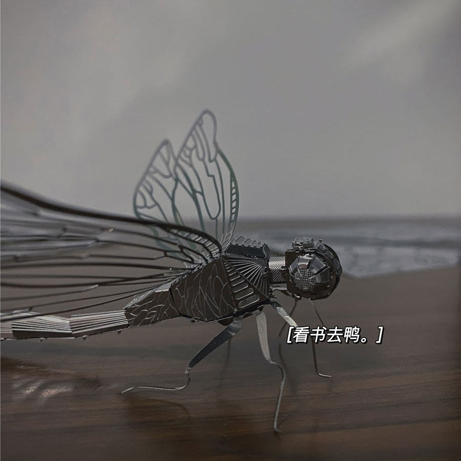 无聊拼个蜻蜓解压立体模型