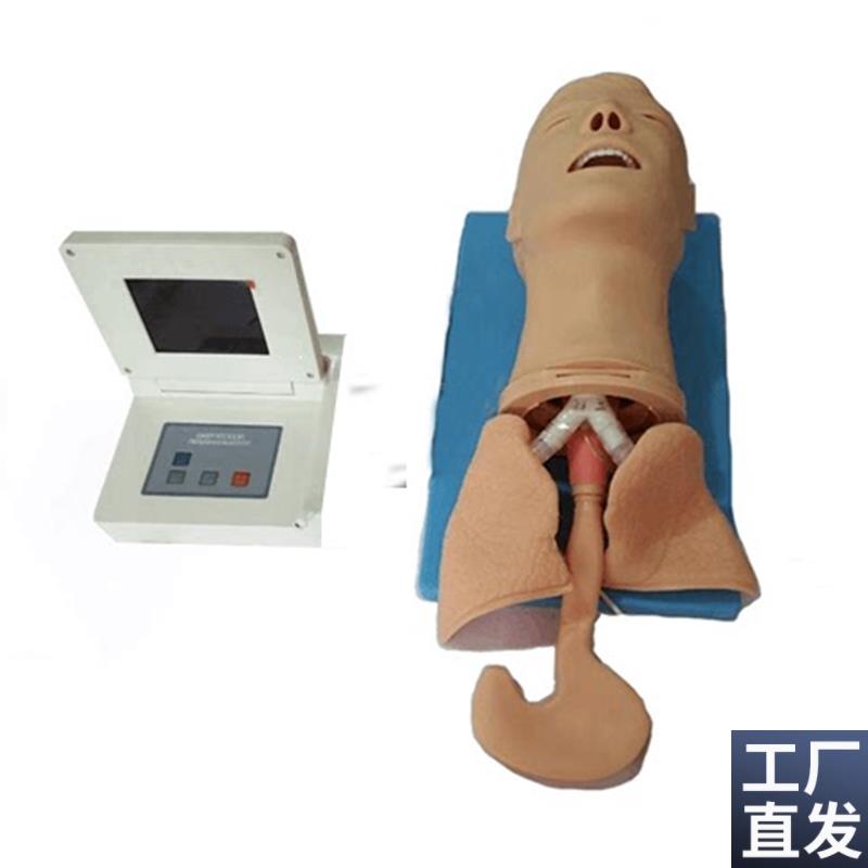 多功能气道管理模型(可实现瞳孔变化E)成人全功能气管插管管理模
