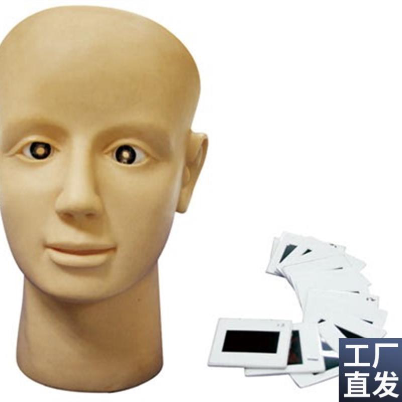 眼视网膜病变训练模型眼科医患沟通教学展示用R具眼内视网膜检查