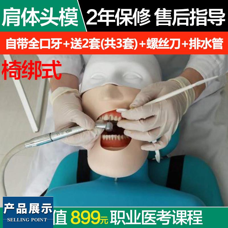 牙科口腔树脂根管种植离体牙模牙备F牙练习模型椅绑式肩体仿真头