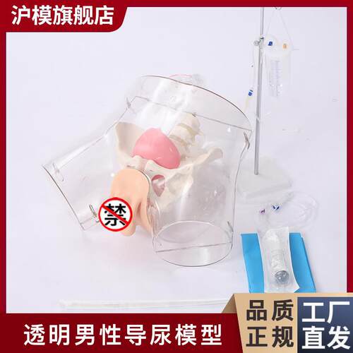 沪模HM/HD5/HDk6透明导尿模型导尿操作演示训练模型男性女性导尿