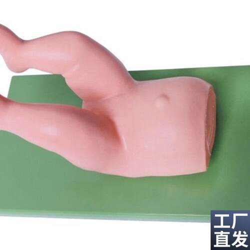 婴儿髋关节复位模型婴儿髋关节复位操L作模型婴儿髋关节模型