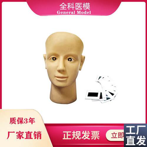 眼视网膜病变训练m模型眼球检查练习养老护理高血压糖尿病人眼睛
