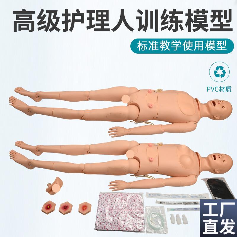 高级全功能护理人体模型r男女导尿模型带内脏褥疮口鼻插管吸痰洗