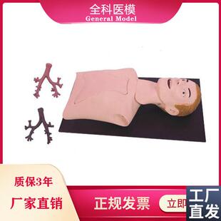 支气管镜插管训练模型