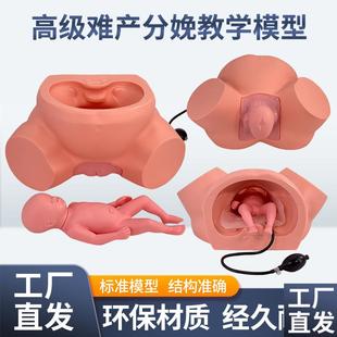 孕妇难产示教模型分娩教学模具难产助产示教训练生产分Z娩演示肩