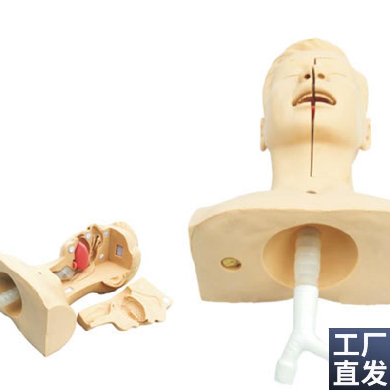 高级吸痰练习模型鼻腔r口腔插管吸引训练模型医学用操作教学模型