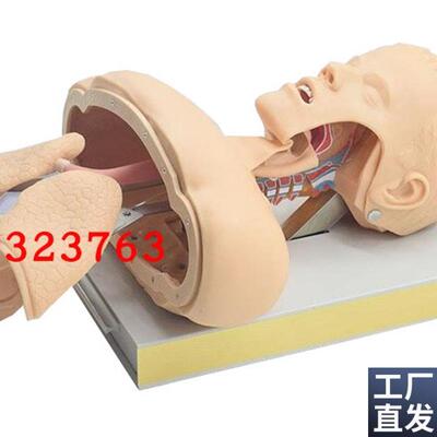 高级气管插管f训练模型(带报警)J50成人气管插管示教模型