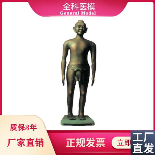 中医学用仿古针灸l铜人166CM全身展览针灸铜像人体模型