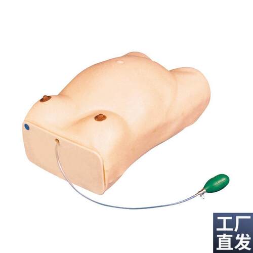 高级孕妇检查模型GD/FW1/妇科检查模型/O怀孕检查模型电子检查人