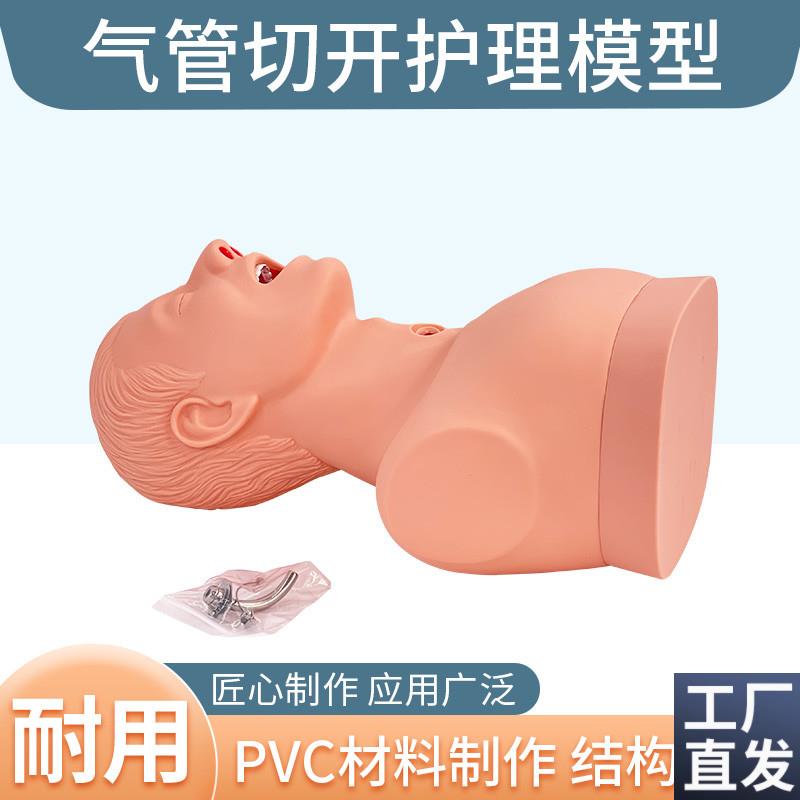高级成人气管切开护理模型吸痰练习培训K模型医学用气管护理教学