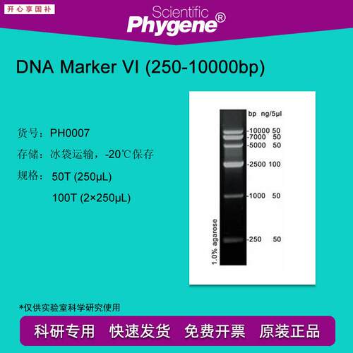 DNAMarker(250-10000bp)100T2250L[PH0007GPHYGENE]