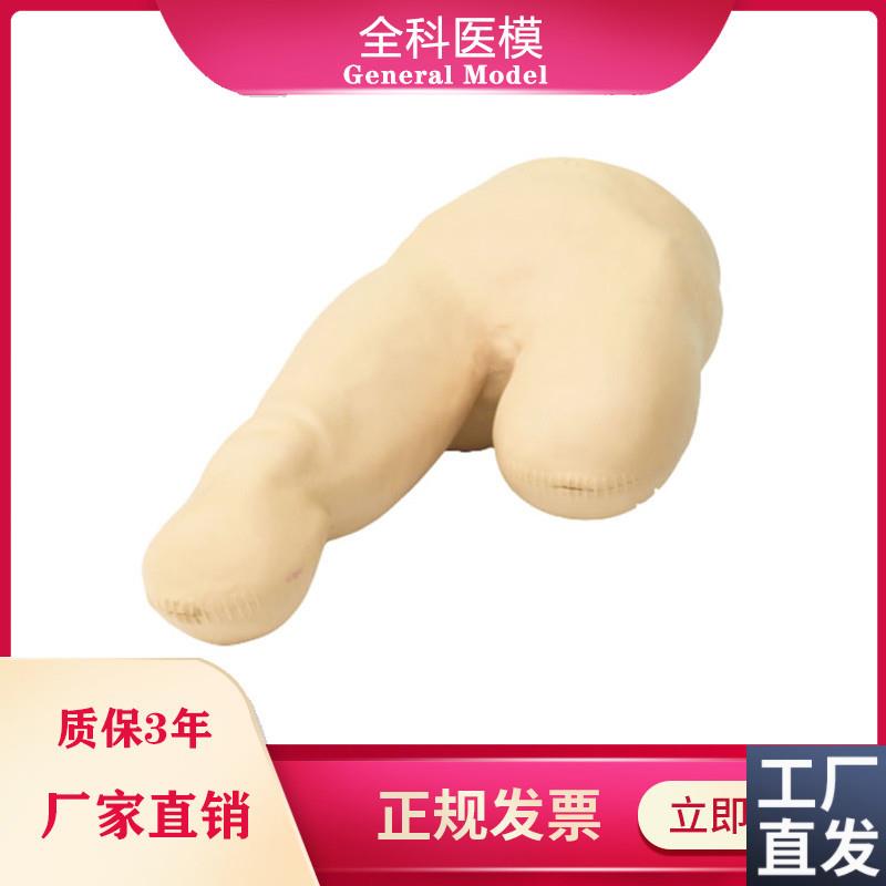 低位包扎模型腿部下肢截肢t病人三角巾包裹训练教学假人体模具LV1