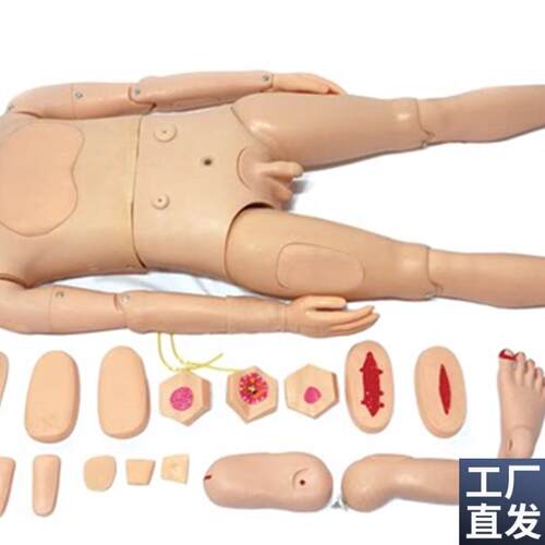 全功能护理t仿真标准化模型人