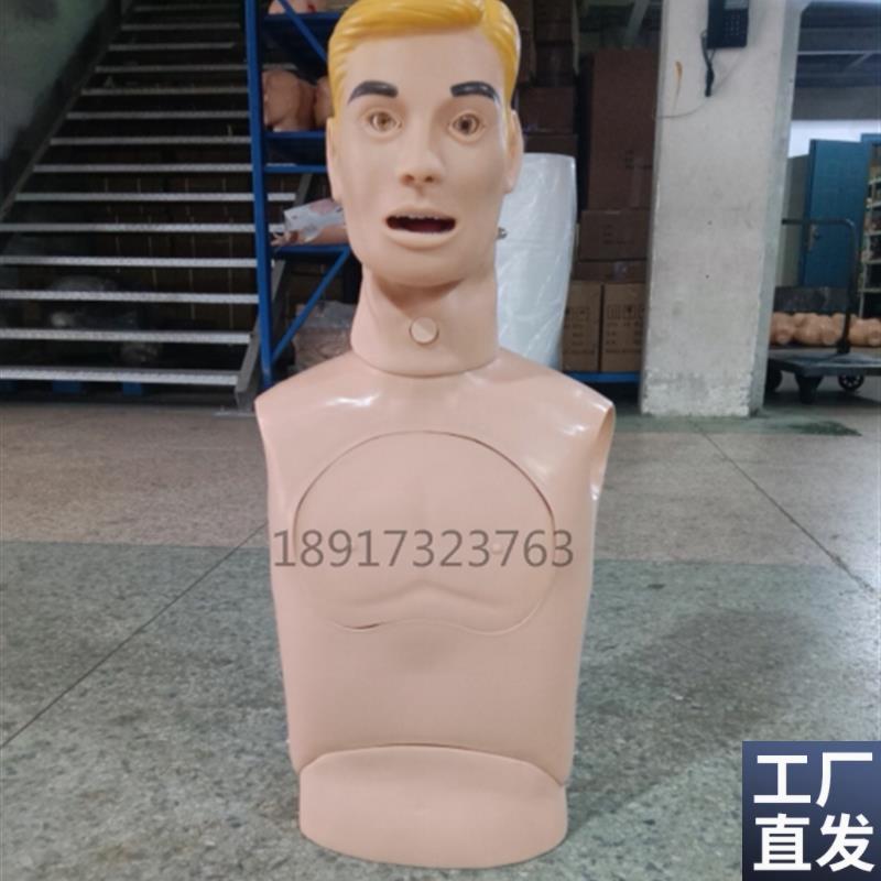 鼻胃管与气管护理模型成人上半身鼻饲洗胃吸痰插.管训练模型