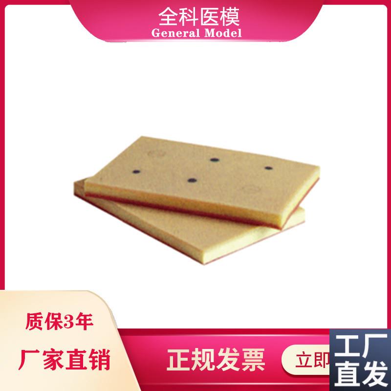 皮肤局部浸润l麻醉训练模块GM/W0082
