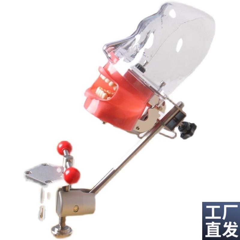 牙科口腔备牙模j型器械工具离体牙备牙种植树脂牙简易仿真头模包