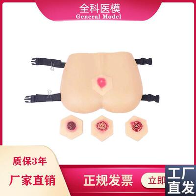 阶段褥疮护理模型压疮培训教具臀部模C型医学教学用模型GM-RC-3