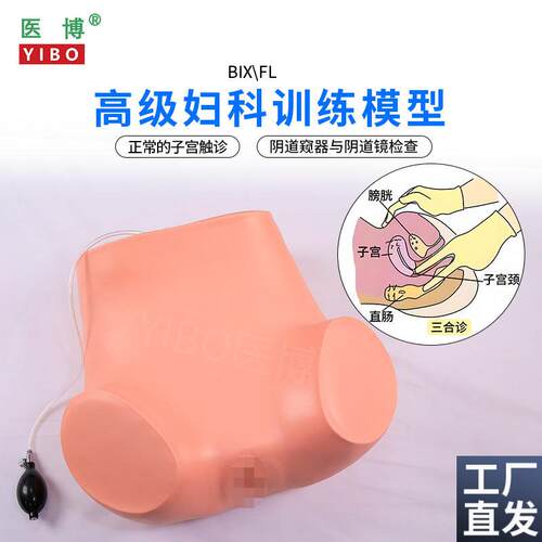 医博BIaX-Fl高级妇科检查训练模型仿真子宫触诊练习检查模型医学