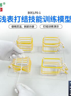 医博BIX-LF6-1高级浅表打结训练C模型外科手术血管缝合打结教学练