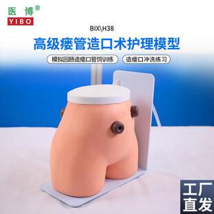 医博BIX-H3j8高级瘘管造口术护理模型结肠回肠造瘘造口护理冲洗教