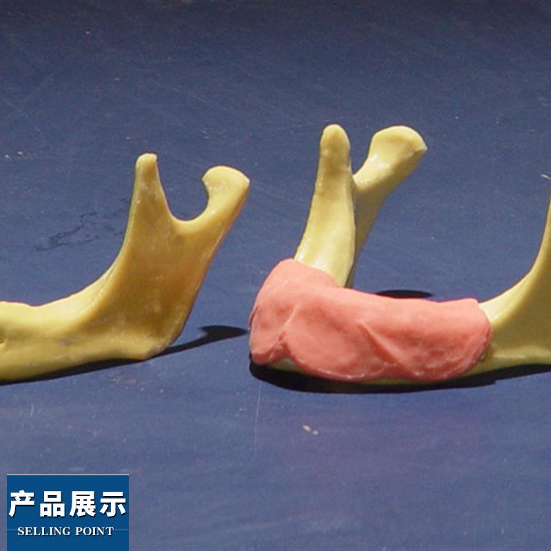 ENOVO颐诺 下颌骨种植操作模型 口腔种植口腔齿科培训实训操作模