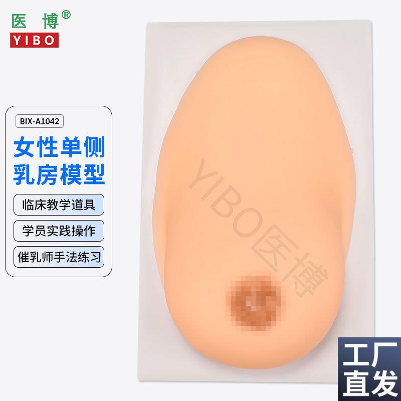 医博BIX-1042成人女性单侧硅胶乳房模型仿真触感催乳手法Y训练教
