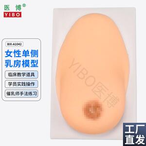 医博BIX-1042成人女性单侧硅胶乳房模型仿真触感催乳手法Y训练教